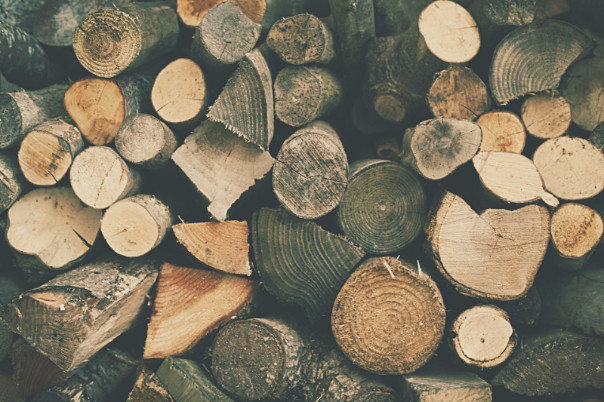 Sauna Wood Types | Audacia Decor Inc.