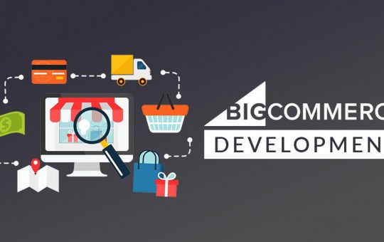 BigCommerce developers - Nerder