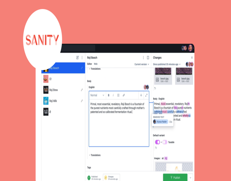 sanity developers